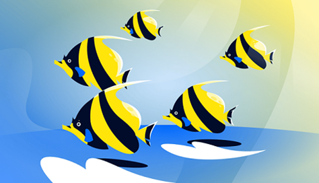 sea, underwater fish