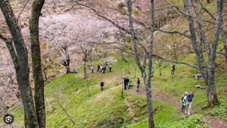 Yoshinoyama
